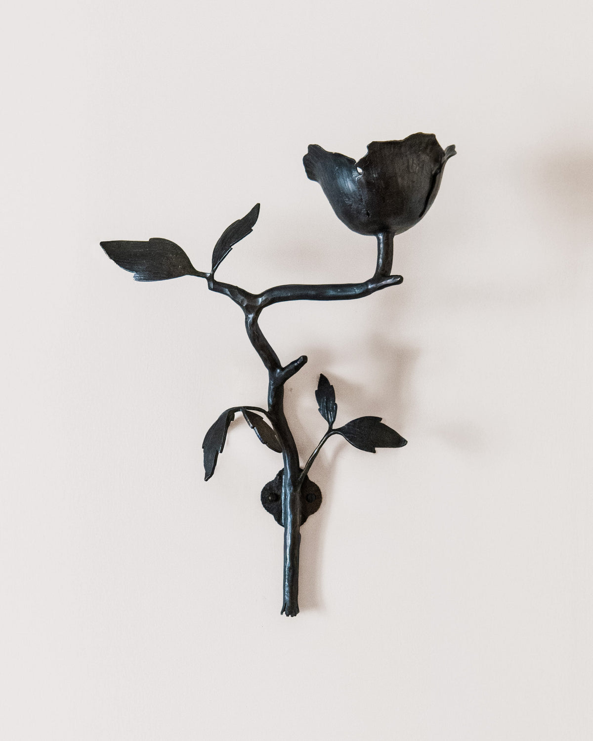Clematis Wall Light by Jess Wheeler Studio | The Oblist — handcrafted black metal design