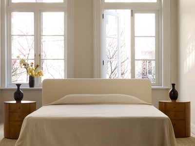 Platform Bed: Contemporary Designs for a Minimalist Bedroom