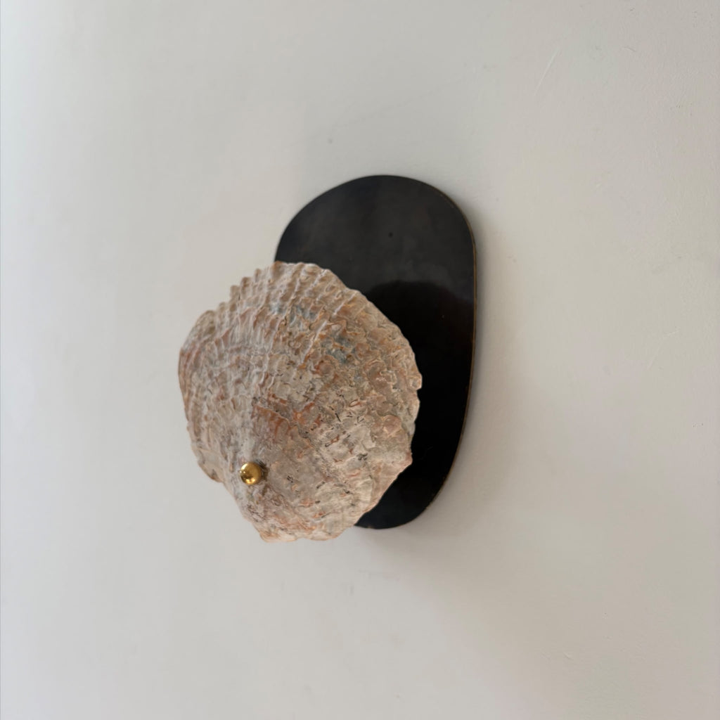 Charlotte Packe Studio