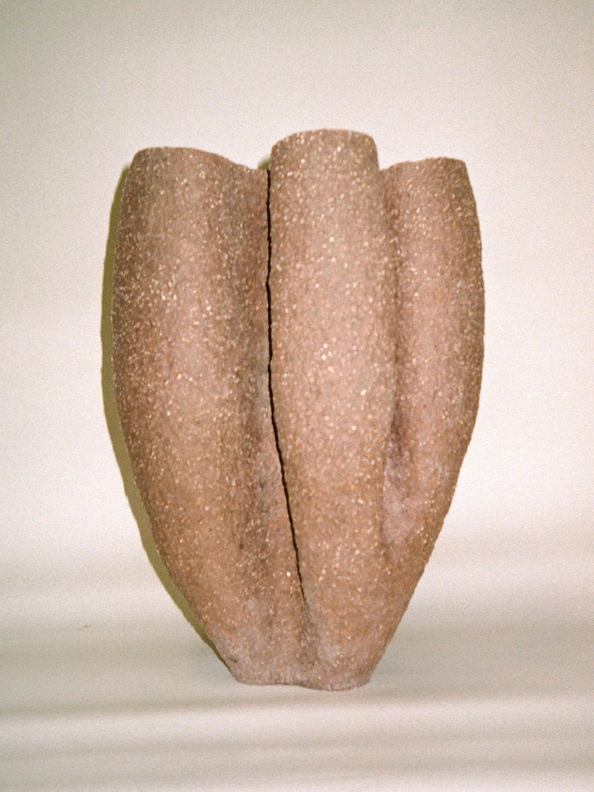 Growing Vase n.5 by Aiste Bagdonaite is a unique, handbuilt ceramic vase featuring a textured, abstract form with three fused rounded cylinders, standing upright on a light surface against a plain background.