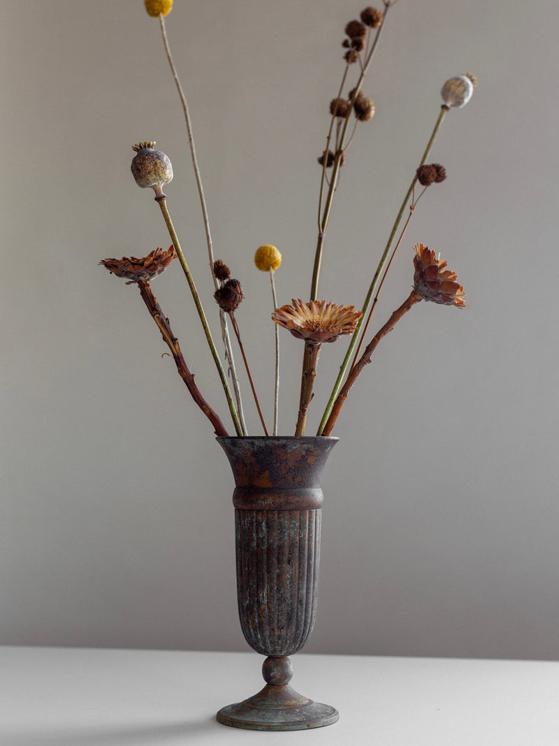 The Spigel Vintage Cast Iron Vase presents an arrangement of dried flowers and long stems, elegantly set on a white surface against a simple background.