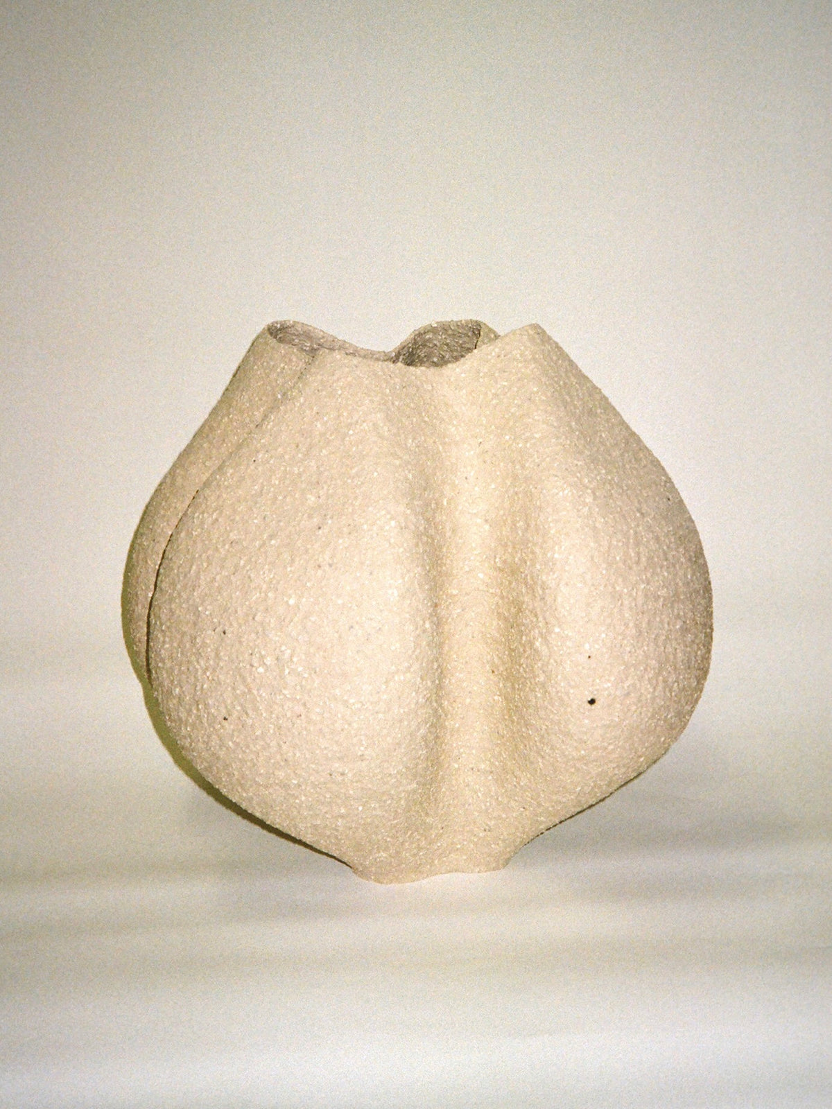 The Growing Vase n.6 by Aiste Bagdonaite is a hand-built, beige stoneware vase with an organic bulbous shape and gentle ridges, displayed against a light background.
