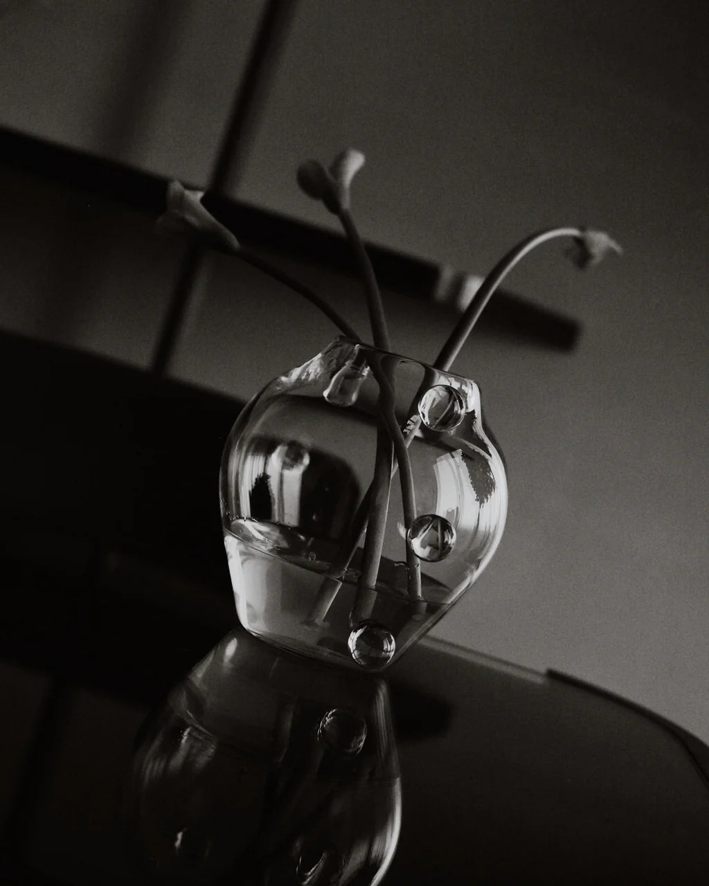 A black and white photo features the La Lumiere Vase by Sophie Lou Jacobsen holding four calla lilies on a reflective surface, with soft, dramatic lighting and blurred shelves in the background.
