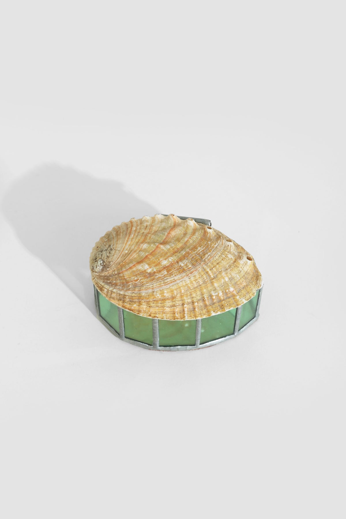 Red Abalone Shell Jewelry Box — detail view