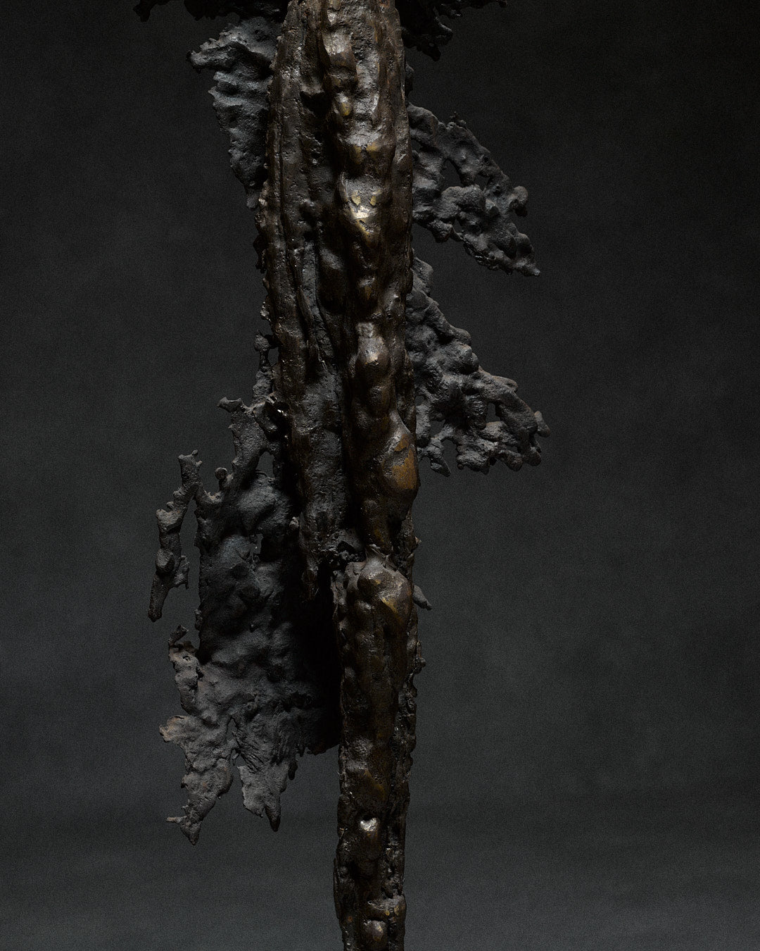 Skeletal Sculpture in Iron by Francois Saison — close-up of textured iron surface