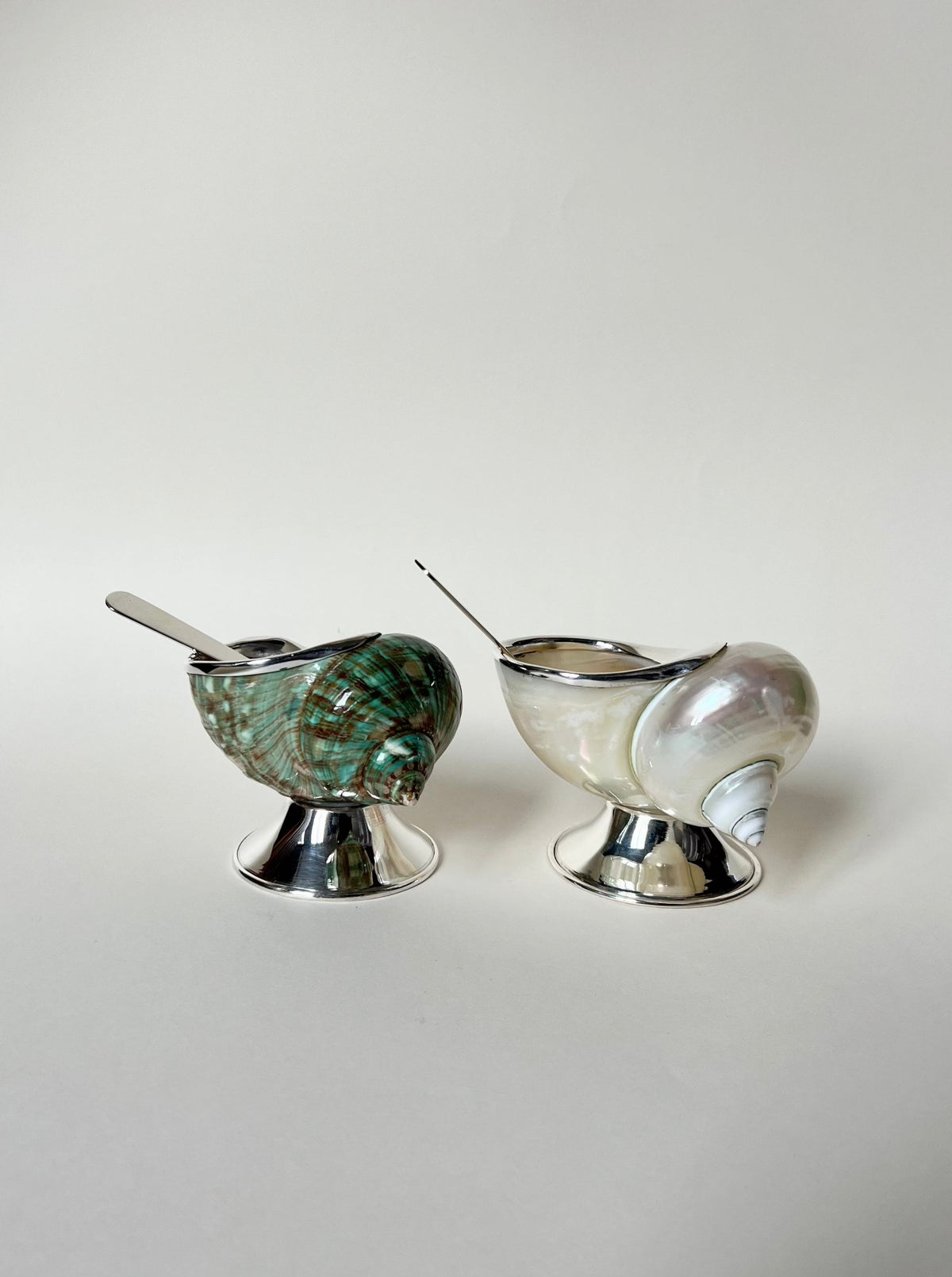Shell Sugar Bowl — angled view of artisan shell design with silver accents
