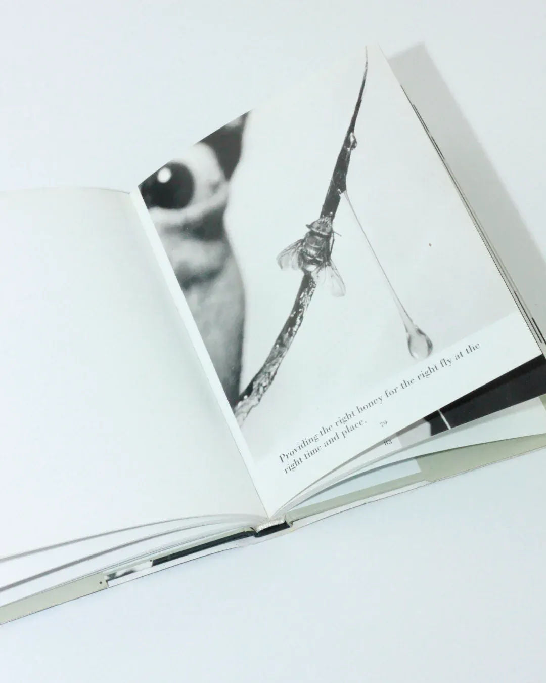 Dali's Mustache — open book showing black and white illustration