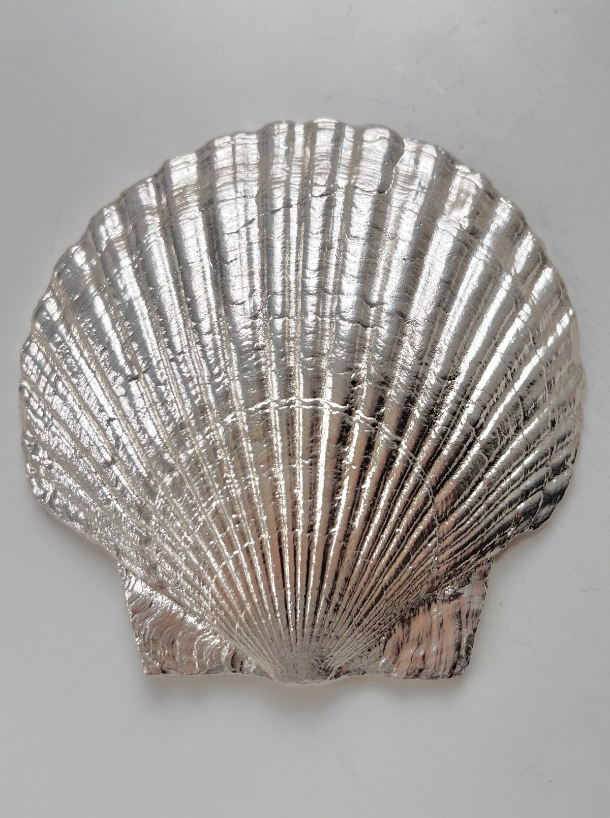 Silver-plated scallop shell decorative dish with radial ridged pattern
