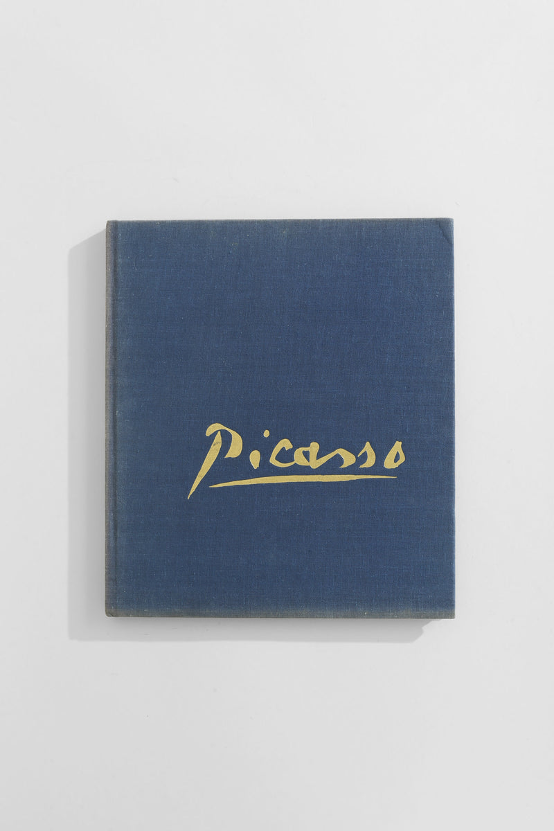 Picasso Book by Villa | The Oblist
