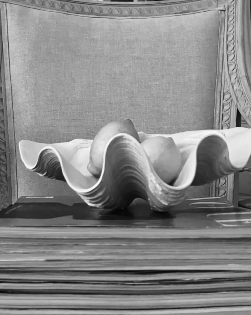 Clam Shell Bowl - Handmade Plaster Sculpture — close-up