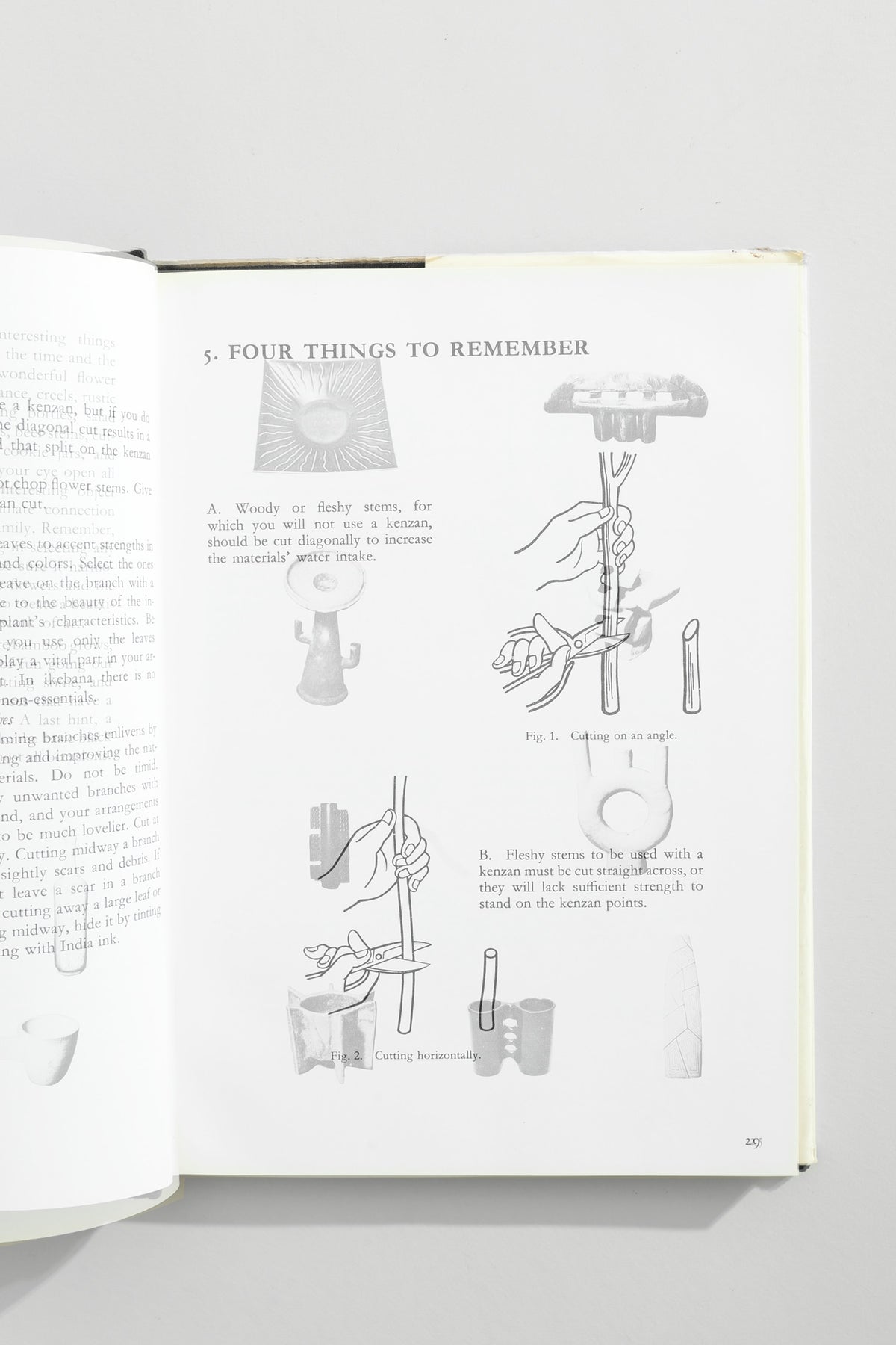 Creative Ikebana Book — top view of illustrated instructions on gray background