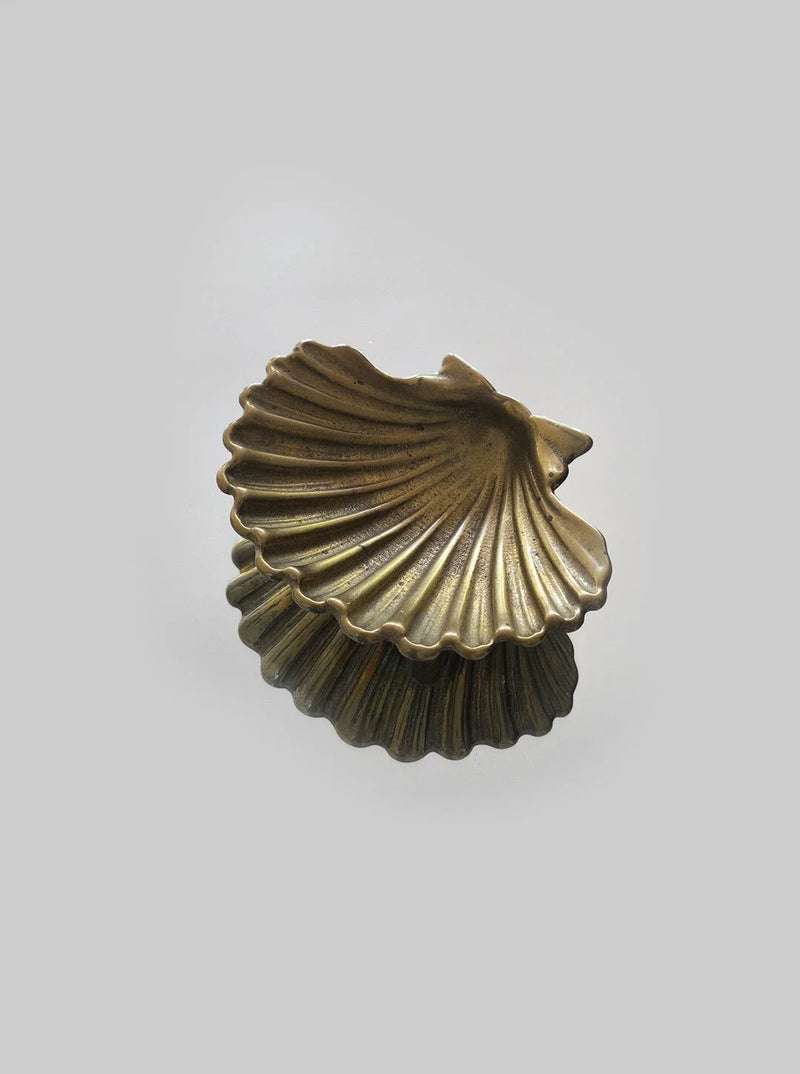 Shell Brass Vide-Poche — detail view