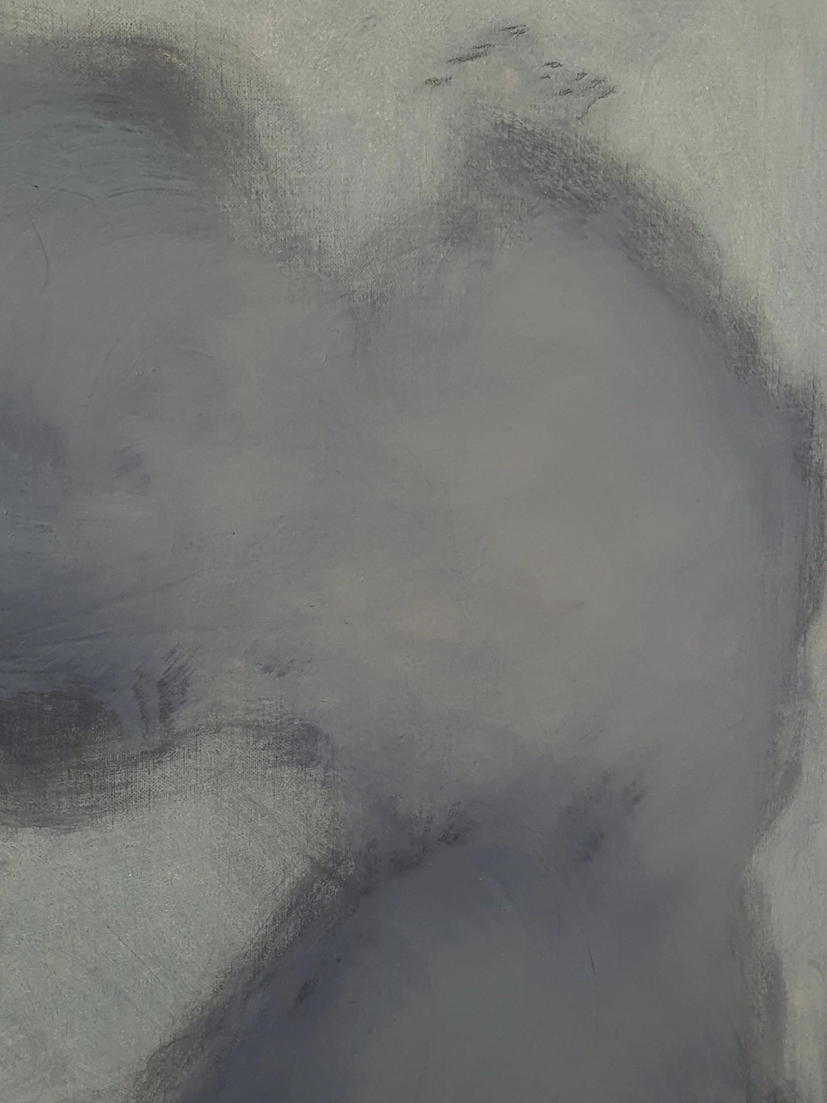 Chrysaora — close-up of soft blue and gray paint texture
