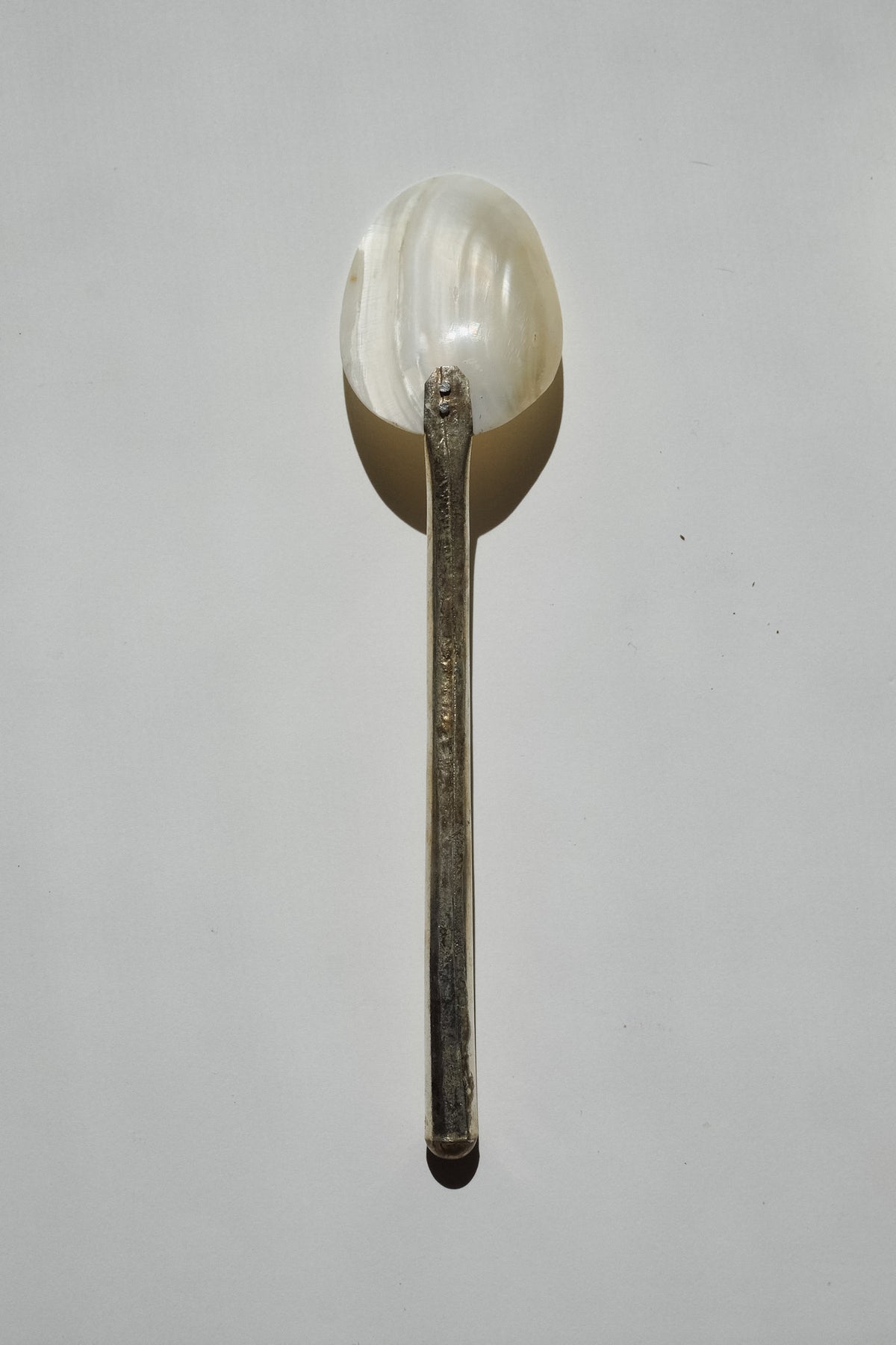 Set of 5 Handmade Mother of Pearl Shell Spoons — lifestyle setting