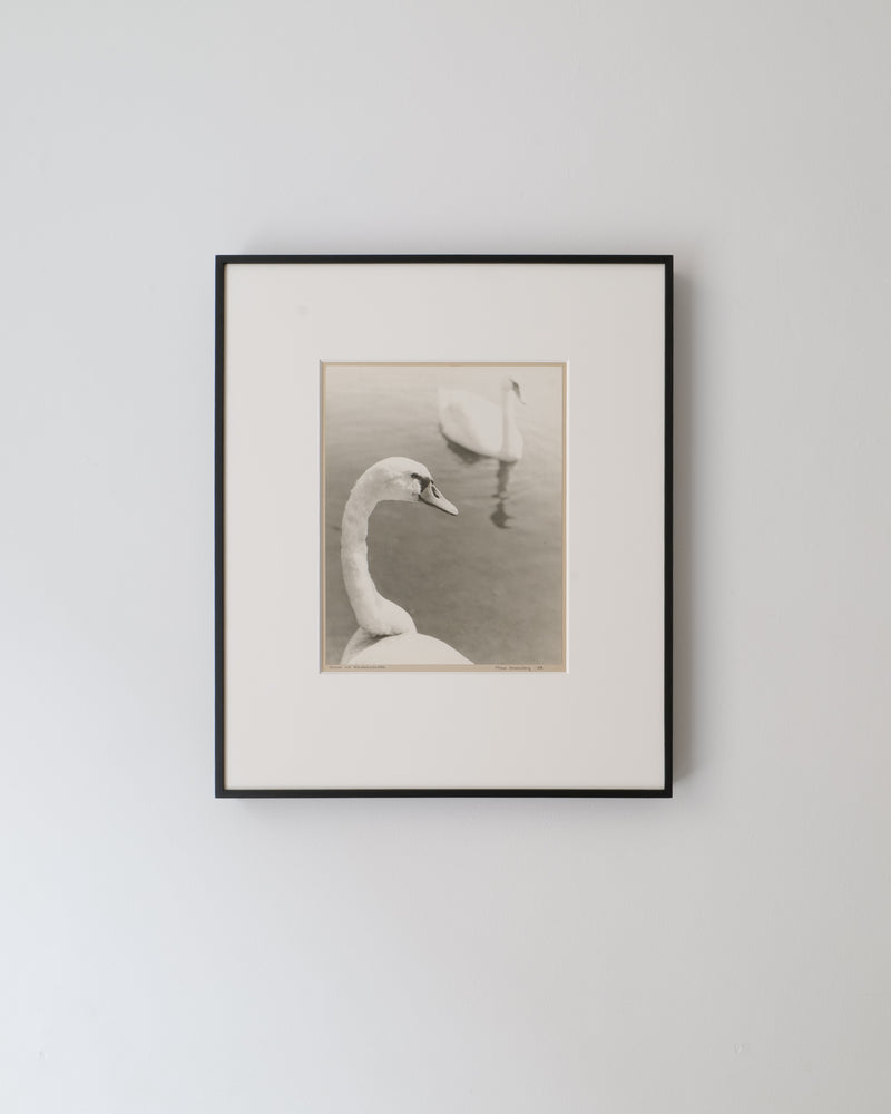 Hans Malmberg swans silver gelatin photograph 1968