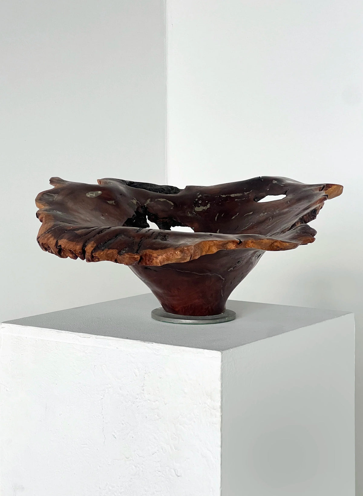 Australian Burl & Pewter bowl — close-up