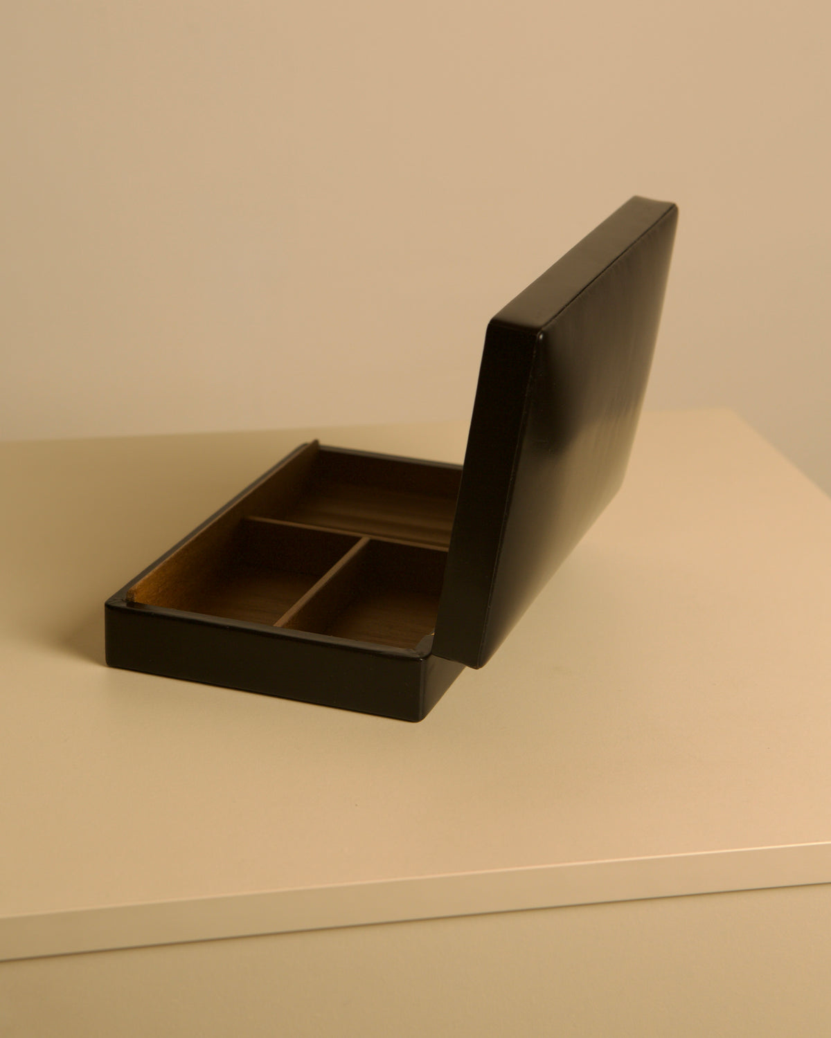 Pair of Italian Boxes, 1960s — top view of black leather box with compartments