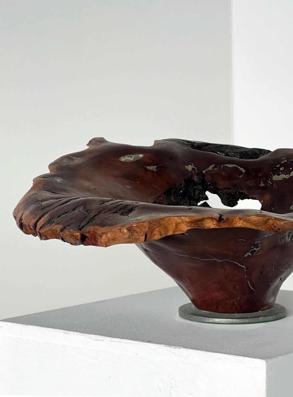 Australian Burl & Pewter bowl — detail view