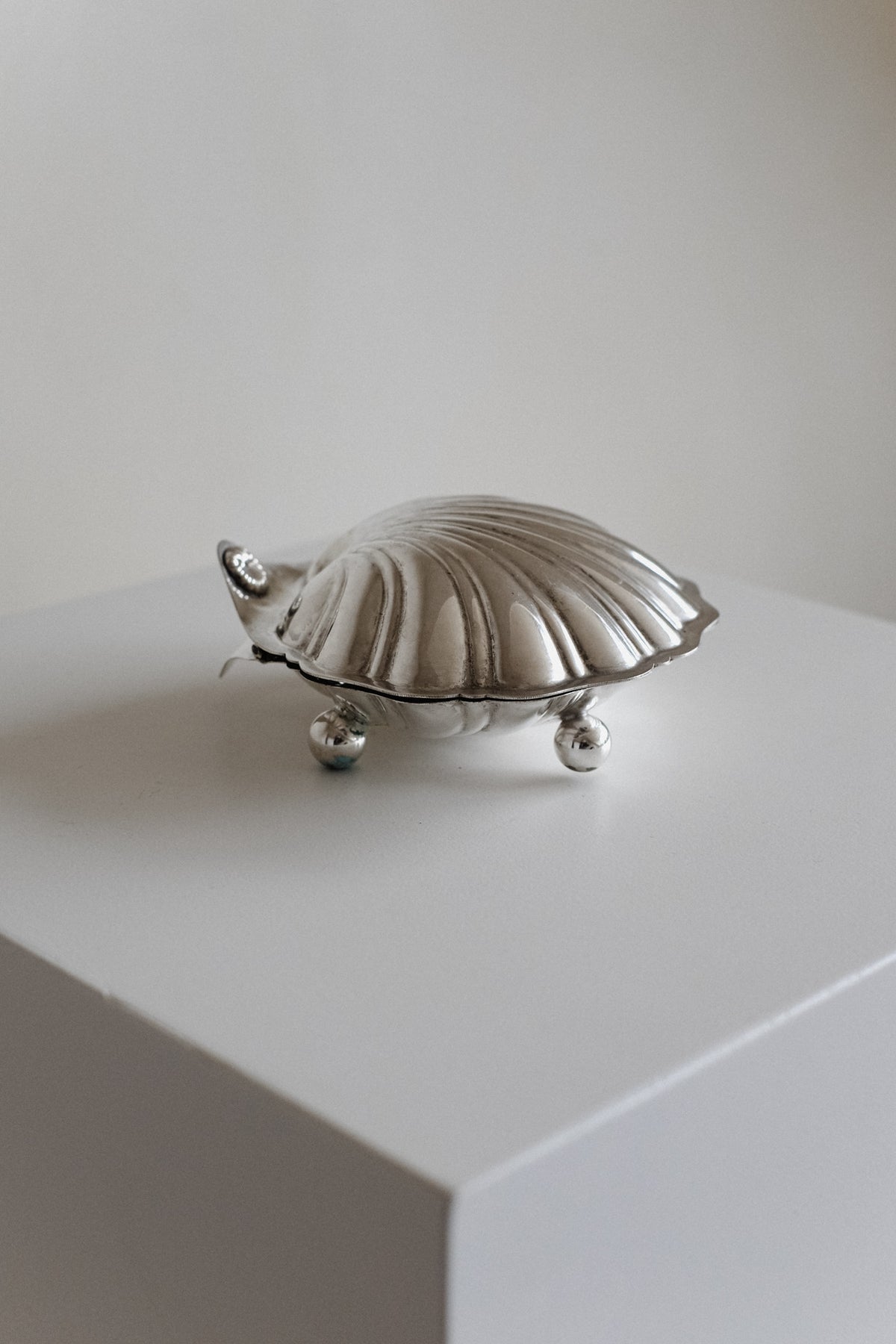 Large Shell Shaped Dish by septembre studios | The Oblist — silver metal finish