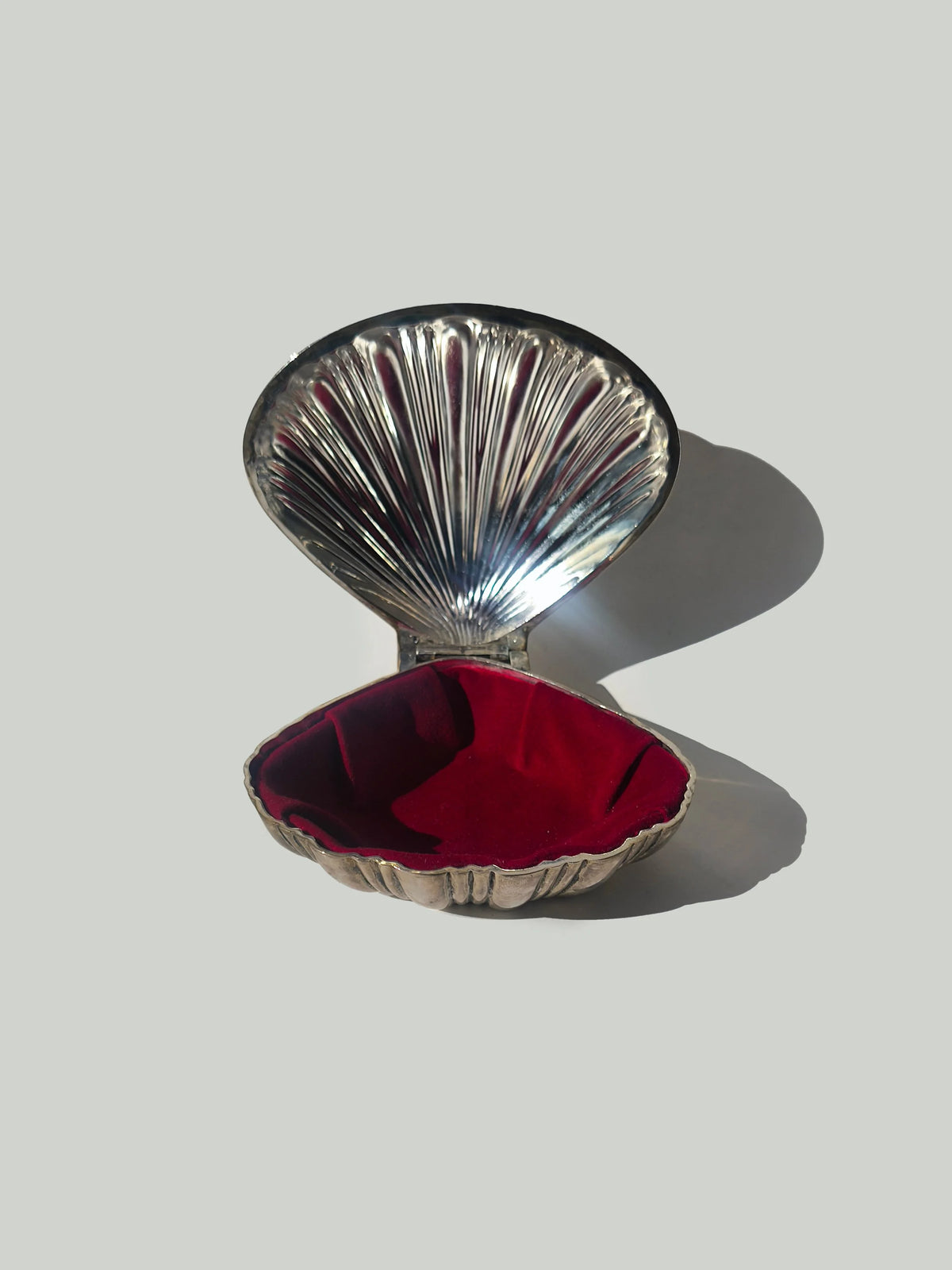Silver-plated Large Shell Box — detail view