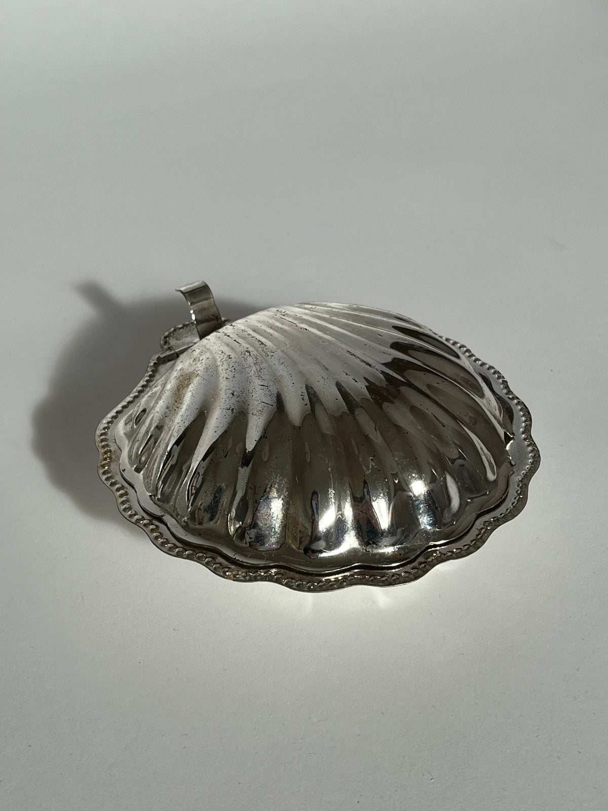 The septembre studios Shell Shaped Butter Dish features a silver, scalloped, ridged design with a decorative edge. It sits on a white surface, its shiny finish reflecting light and casting a shadow to the left.