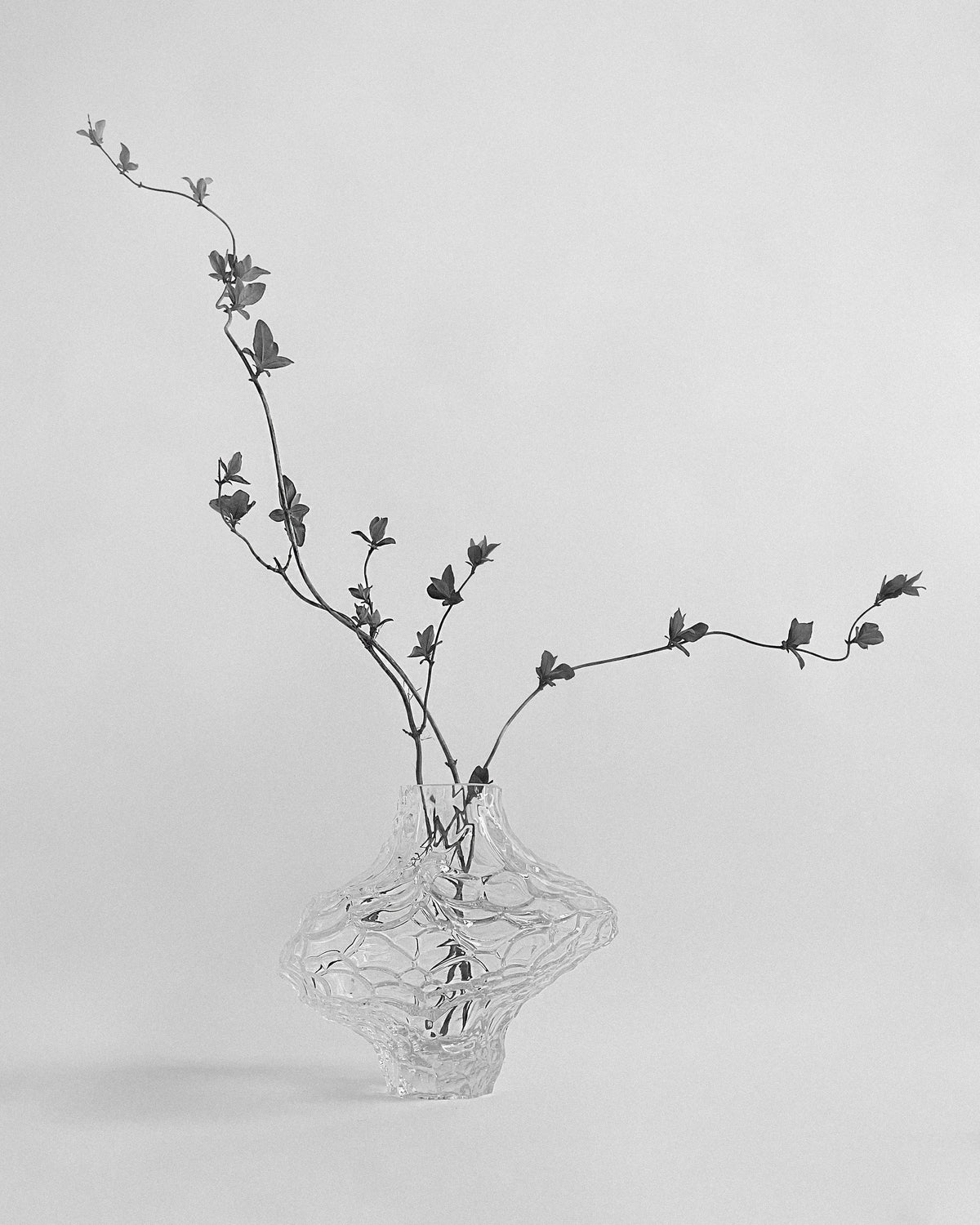 Canyon Vase - Large - Clear — angled view with branches in vase