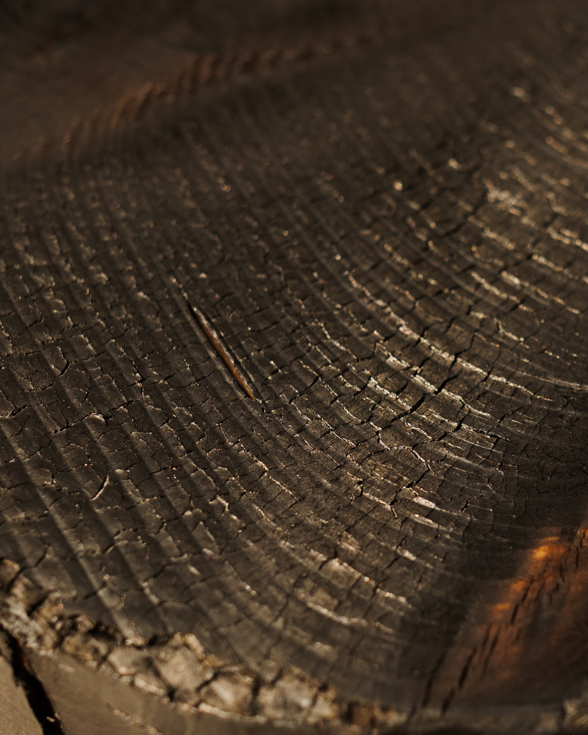 Close-up detail of burnt wood texture on ABORA end table surface