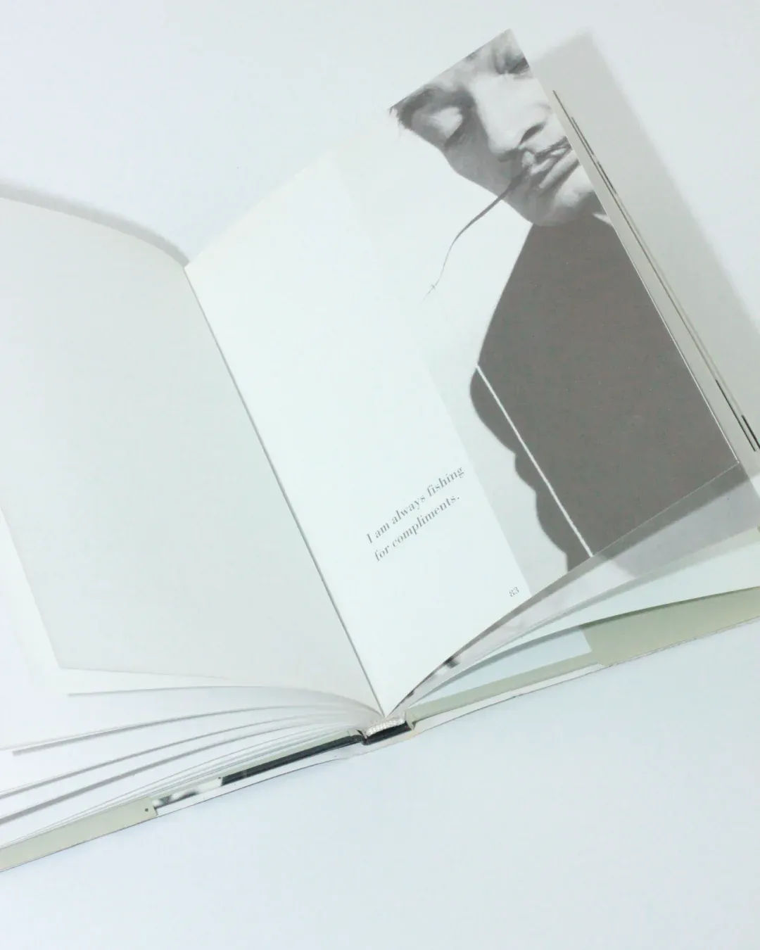 Dali's Mustache — open book on white surface with gray tones