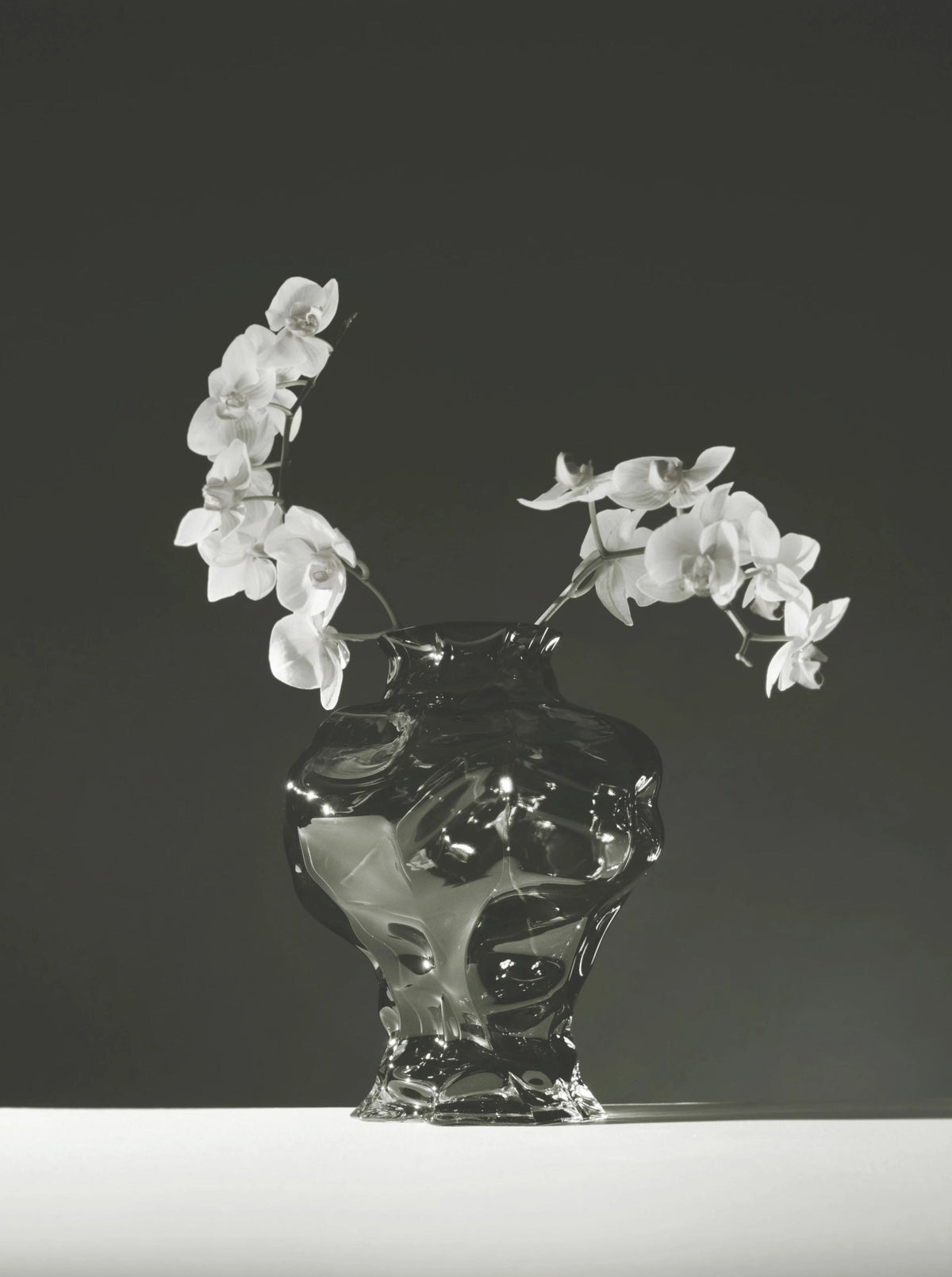 Ammonit Vase - New Smoke — close-up of glass vase with white flowers