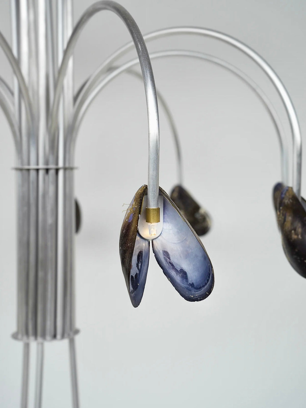 Shell Light — view 9