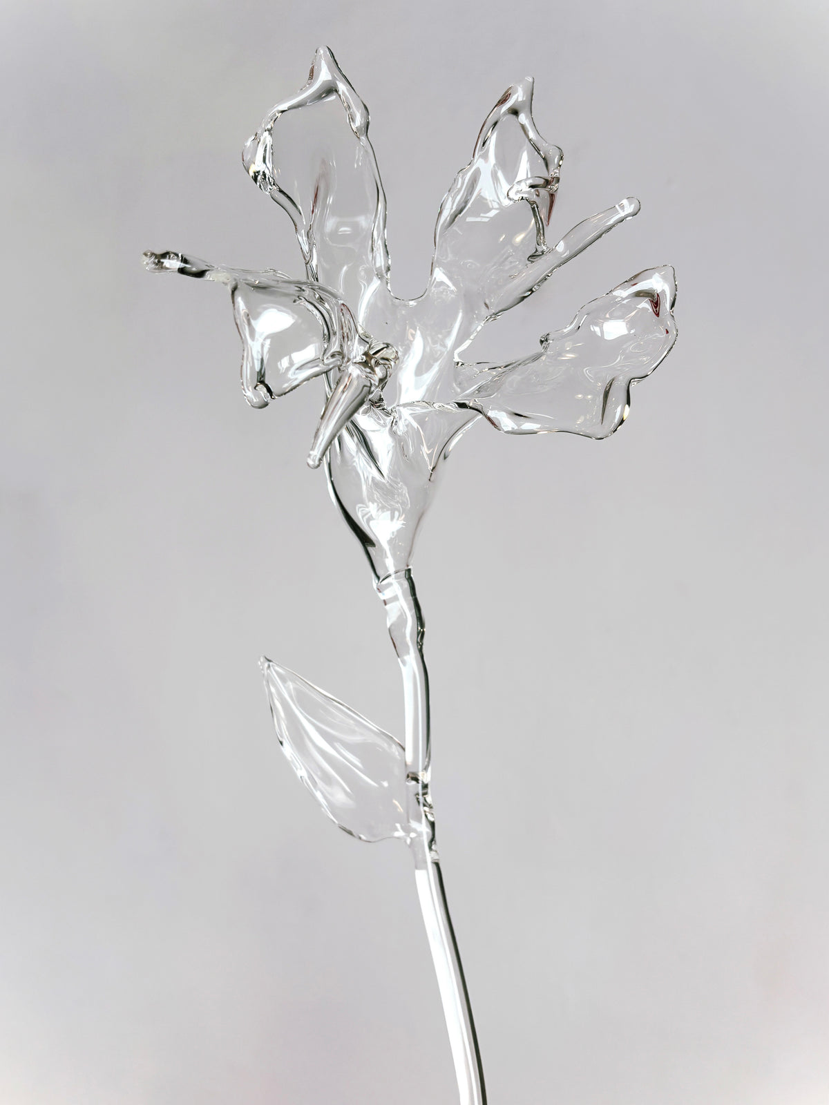 Glass Flower Organic Sculpture — side angle