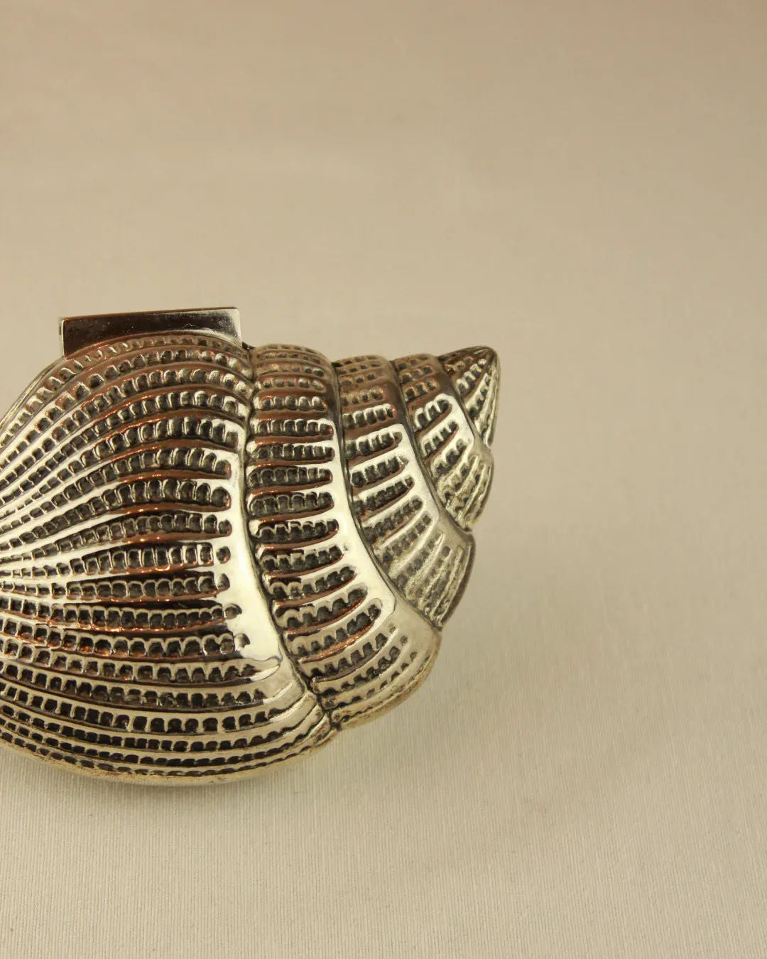 Handcrafted Brass Shell Box with Engraved Seashell Pattern