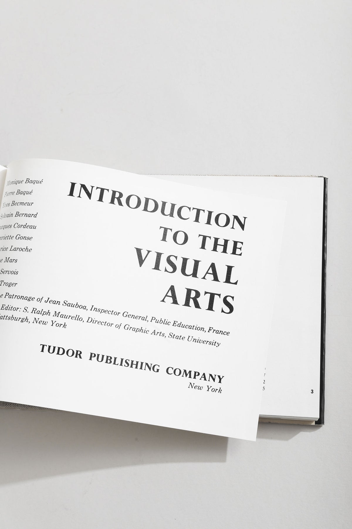 Introduction to the Visual Arts book open to title page 1968