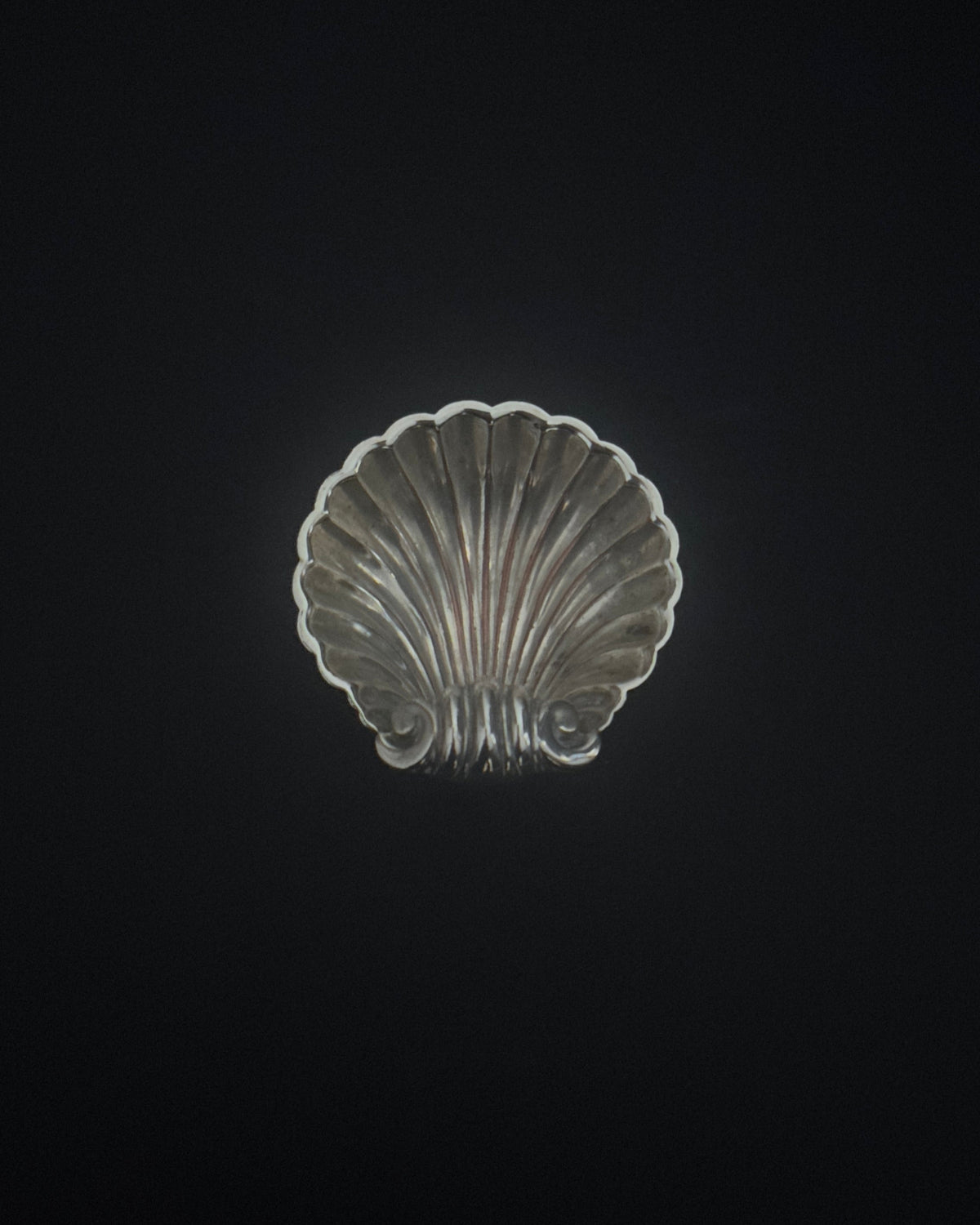 Silver shell dish detail view showing scalloped ridges and metallic finish