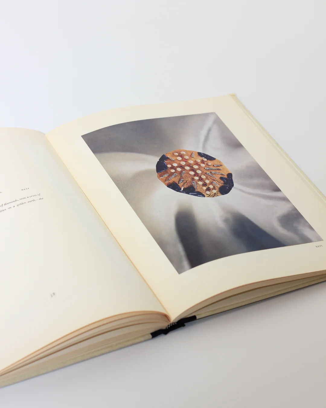 On a light surface, "Dalí: A Study of his Art-in-Jewels" from Boga Avante Shop is open, revealing a textured circular cutout on the right page with a patterned image beneath. The left page is mostly blank with some text near the spine, hinting at an artistic legacy hidden in its folds.