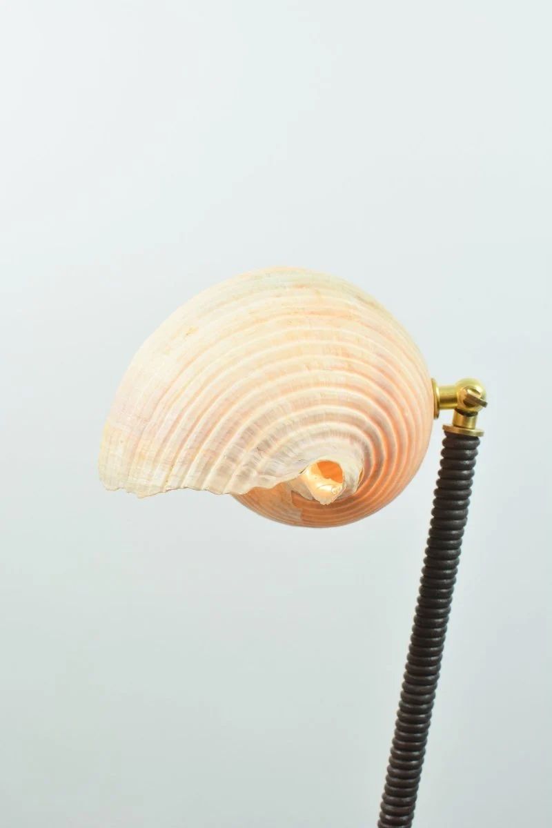 L'Escargot shell table lamp with curved brass arm detail view