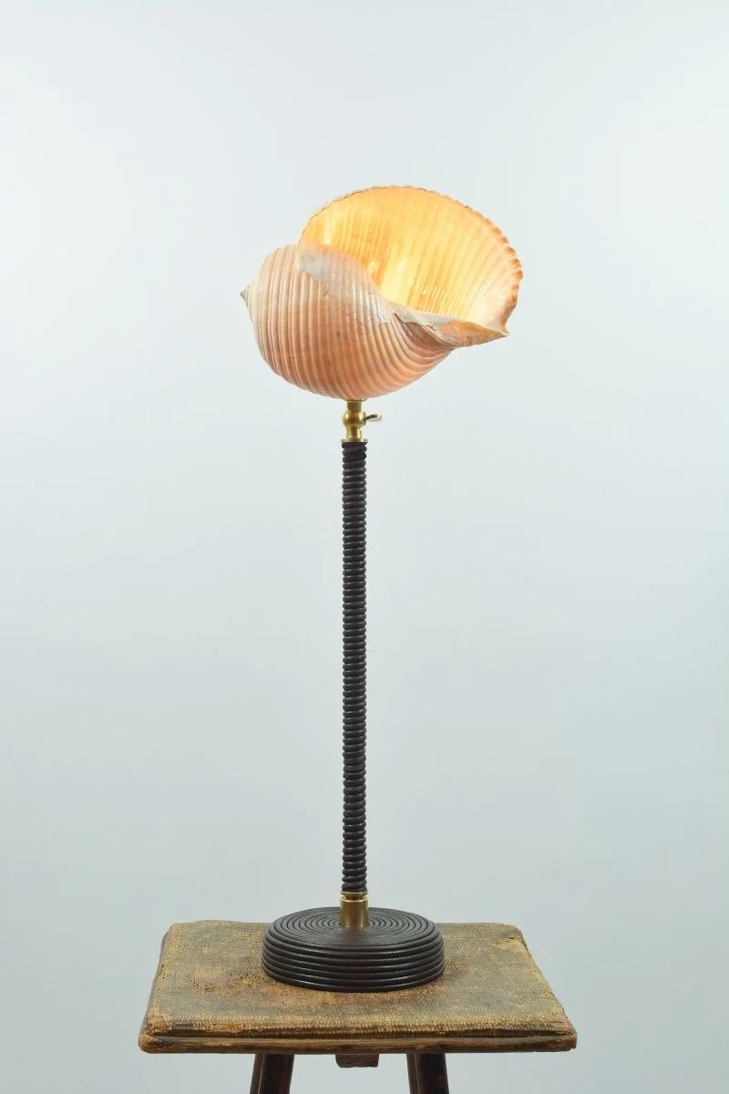 L'Escargot shell table lamp with brass adjustable arm on wood base