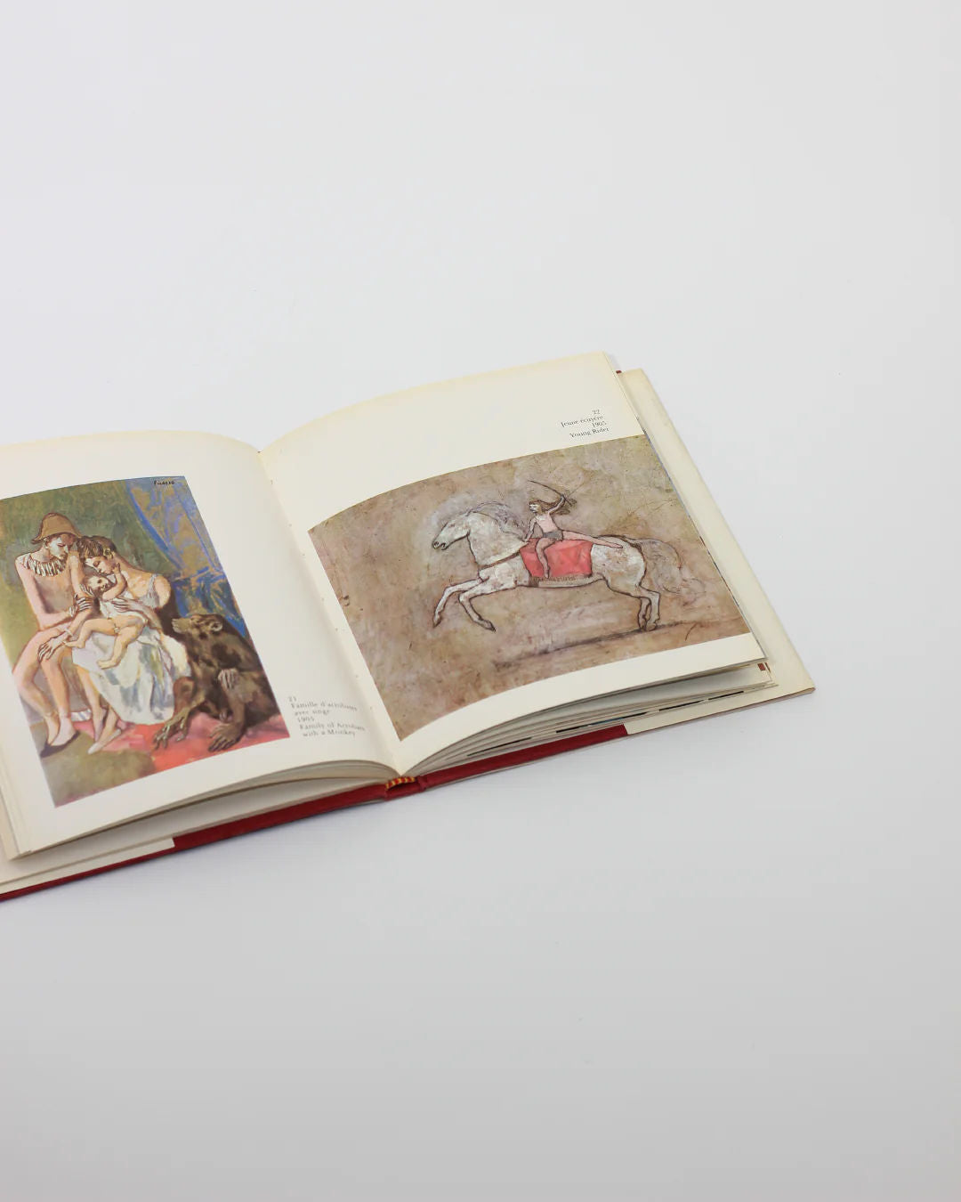 The PICASSO Book by Boga Avante Shop showcases modern art with a Cubist-inspired painting of a seated figure and dog on the left page, and a horse with a red saddle on a plain white background on the right page.