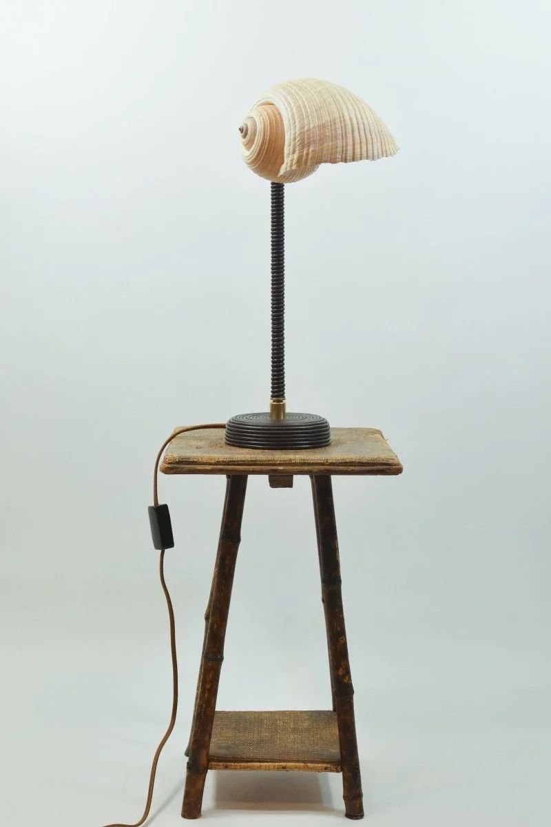 L'Escargot shell table lamp on wooden stool lifestyle view