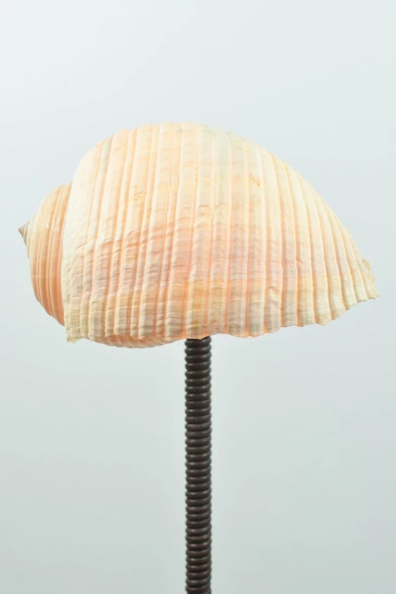 L'Escargot shell table lamp detail showing ribbed texture and stem