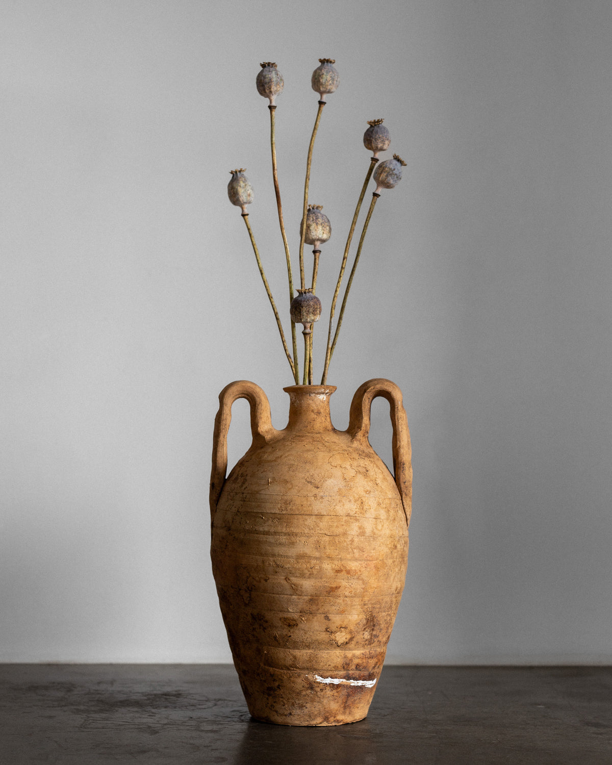 The Spigel Early 20th Century European Ceramic Amphora vase, with its rustic terracotta finish and two handles, gracefully holds dried poppy stems. Set against a plain gray background, its weathered texture enhances its aged charm.