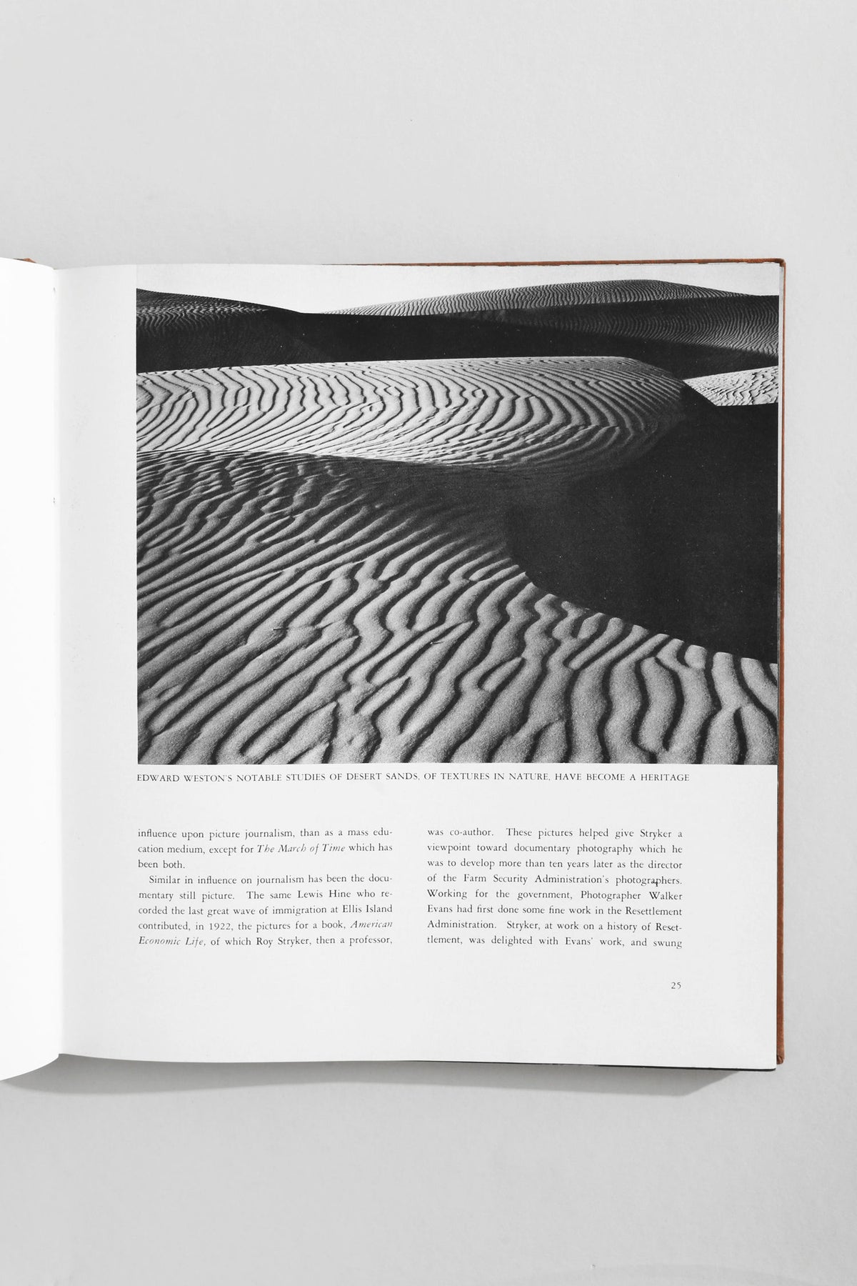 Black and white desert sand dunes photography book spread
