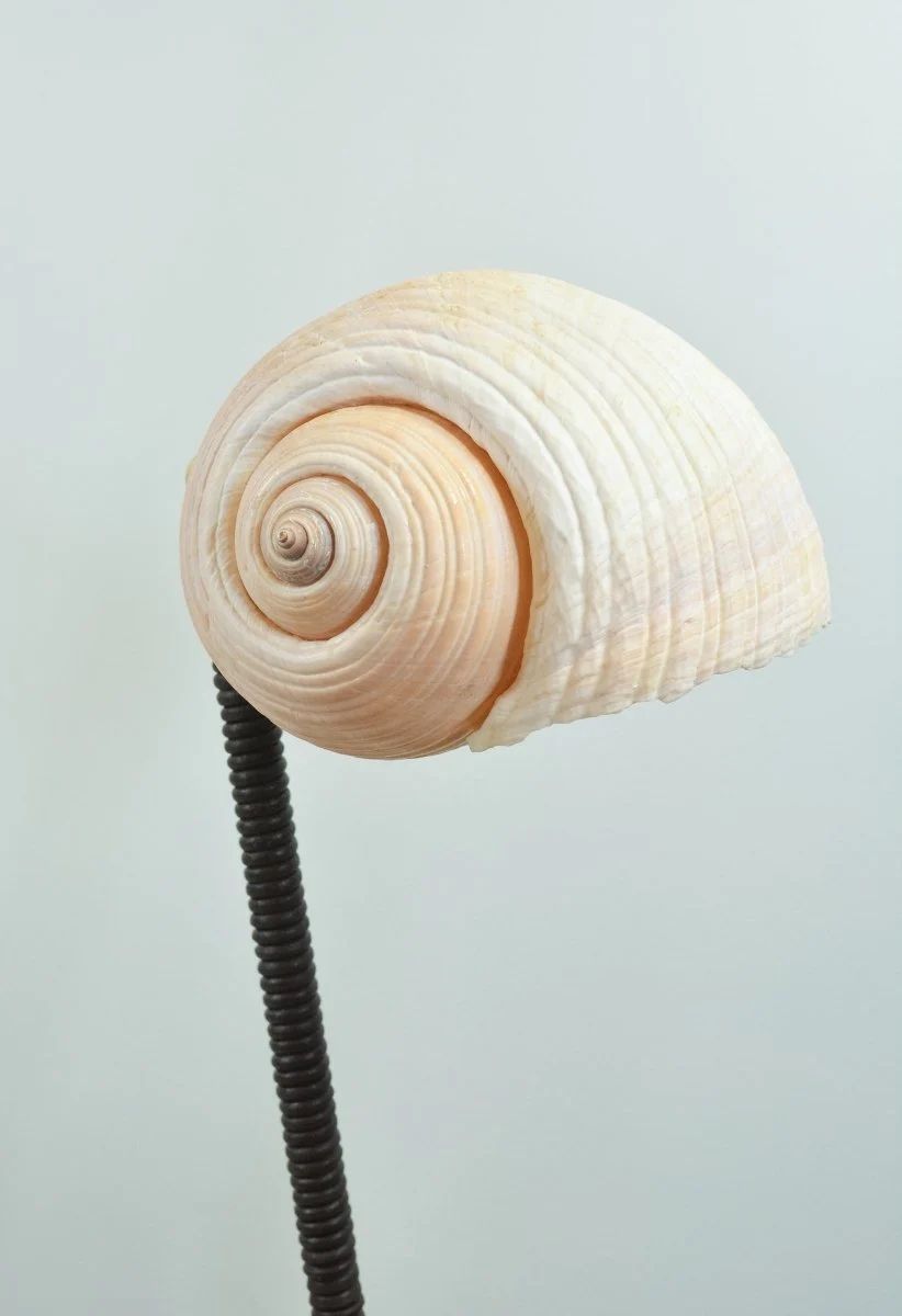 L'Escargot shell table lamp detail view on articulated arm