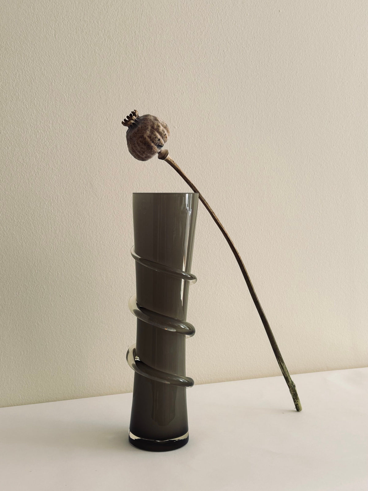 The Glass Vase with Spiral Detail by Flock Studio showcases a single dried flower stem accompanied by a seed pod. This minimalist composition, featuring the tall smoky glass vase with its unique spiral wrap detail, is elegantly set against a plain, light-colored background.
