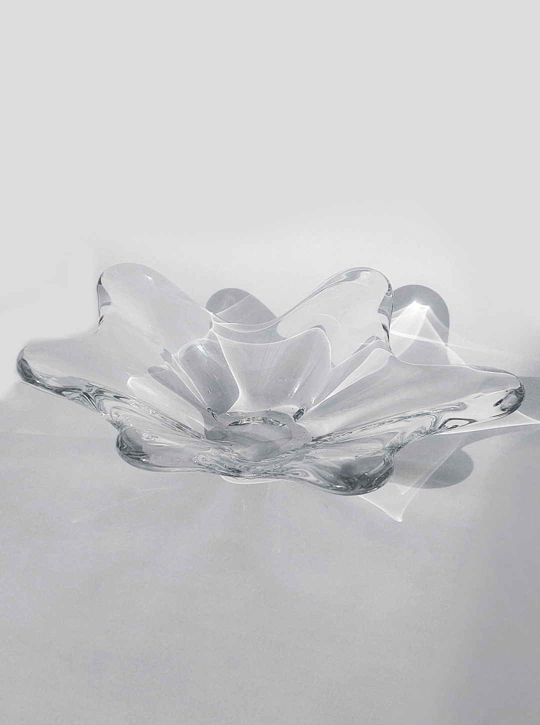 The Crystal Baccarat Cup by Les Objoies graces a light surface, showcasing its wavy-edged design and petal-like shape. Its smooth contours capture waves in motion, while the lighting enhances its transparent and reflective qualities.