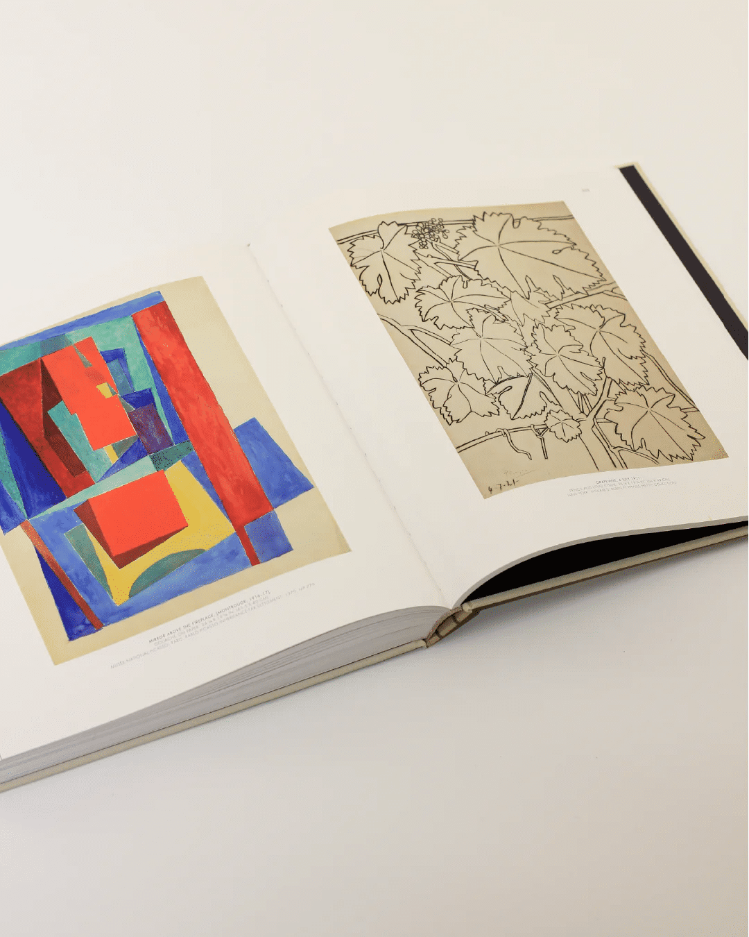 An open Cubist Picasso Book from Boga Avante Shop displays two captivating pages. The left page features a colorful abstract painting with geometric shapes inspired by Cubism, echoing the innovative spirit of Picasso. The right page presents a detailed, monochrome botanical drawing of leaves against a plain, light background.