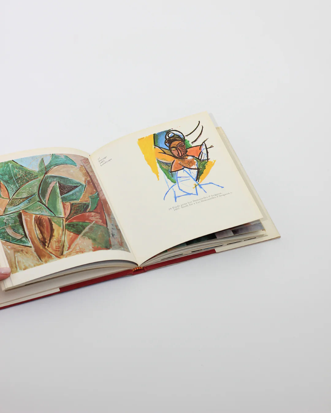 The PICASSO Book by Boga Avante Shop lies open on a white surface, displaying an abstract green and brown painting on the left page and a Cubism-inspired, colorful portrait against yellow on the right.