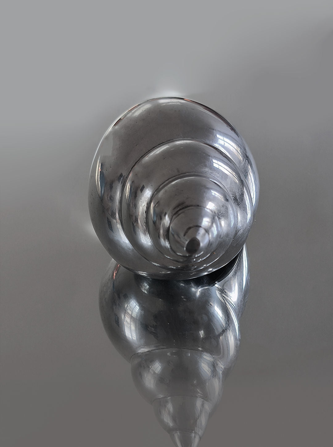 The Large Shell Sculpture by Les Objoies, featuring a shiny metallic spiral design, is displayed on a reflective surface with its clear reflection. Against a soft gray gradient background, the smooth texture and intricate curves of the sculpture are highlighted.