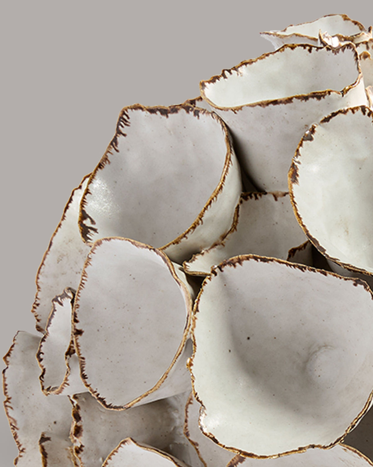 White ceramic vessel fragments with organic torn edges by Deirdre Burnett