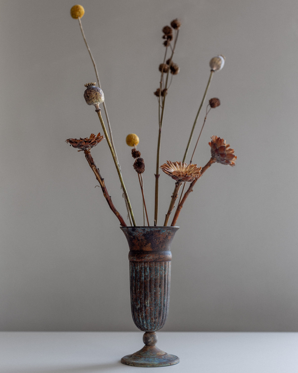 A tall Spigel Vintage Cast Iron Vase elegantly displays an arrangement of dried flowers and seed pods with long, slender stems against a simple, neutral background.